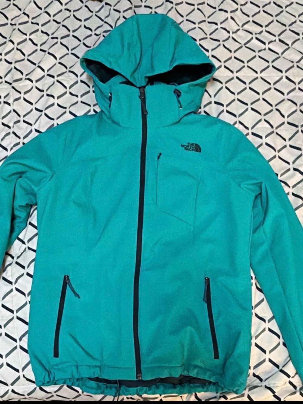 The North Face Teal Hooded Ski Jacket